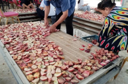 库尔勒市哈拉玉宫乡：烘干房让果蔬变成“致富宝”