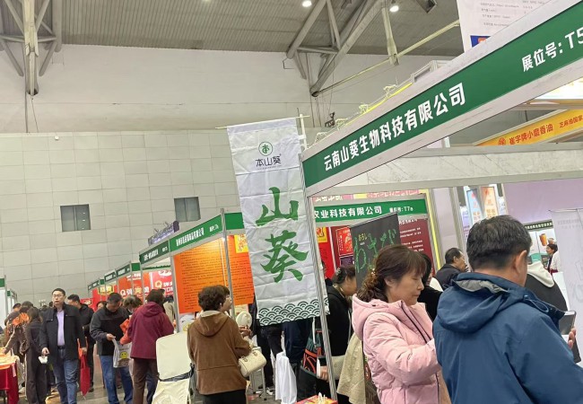 2025年展会回顾